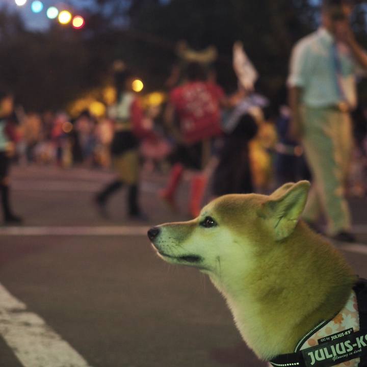 156fede1 c5cd 432c ac98 51d3af7f152e