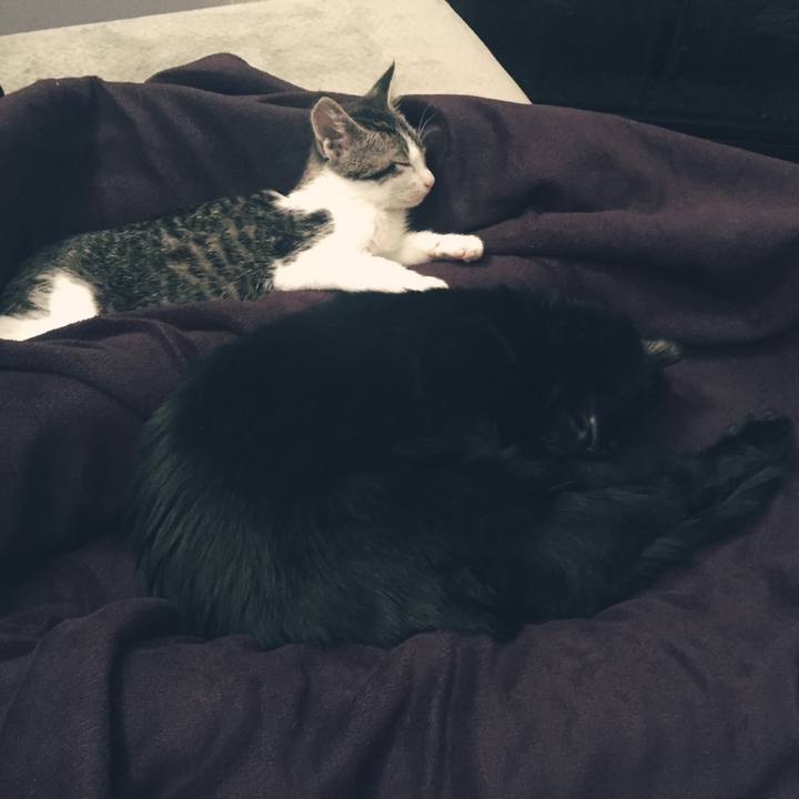 156ffea5 dd3a 4dd9 8641 cf52c9fdee9b