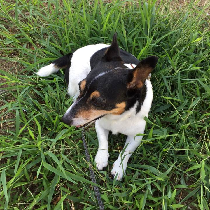 1570340f 9dd4 4070 93b6 595ea7dce787