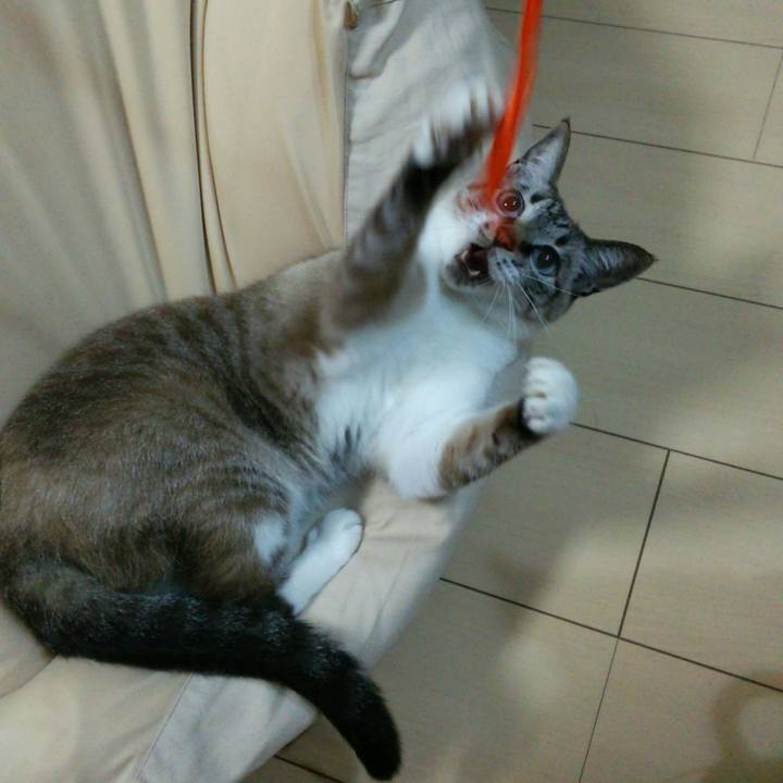 15715f8b 2005 4b29 b4c8 a573180bba71