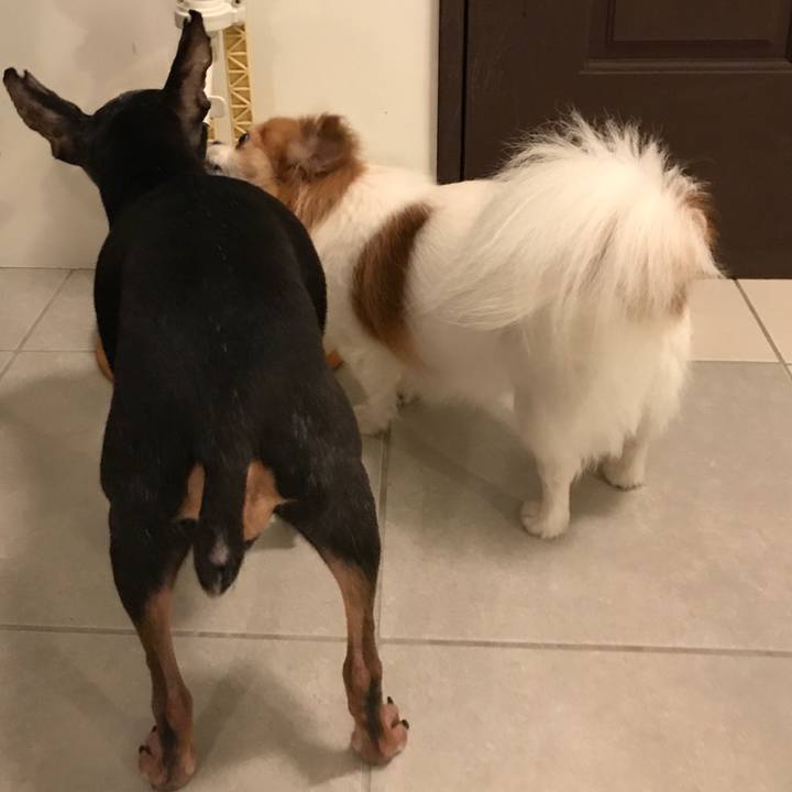 157162f4 85fe 4fa2 bd87 6b4001ce46c7