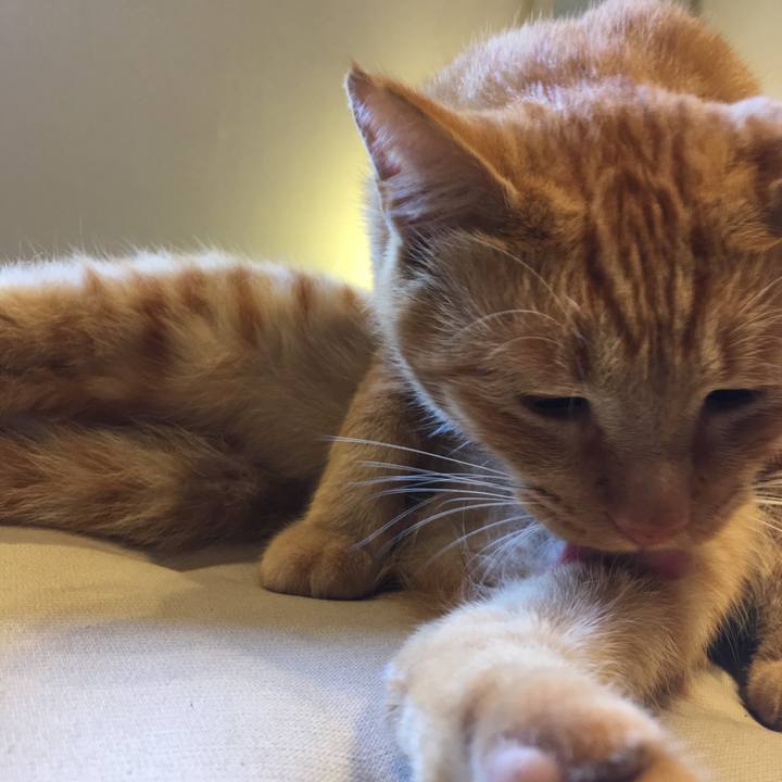 15716ca0 f5e1 4109 a73a 667299c47440