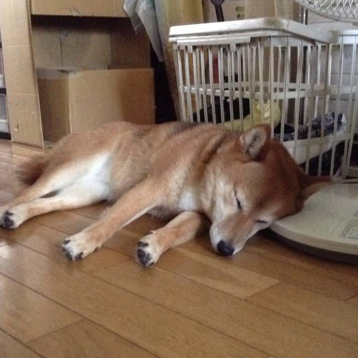 1571aeae 4ce1 4279 ab38 3477a6dbf19e