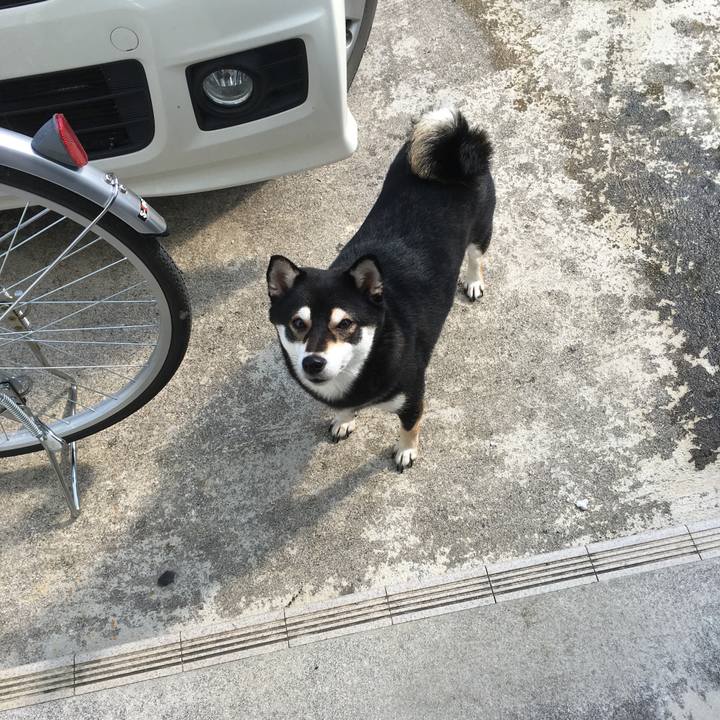 1572c098 138a 461e a9d0 88a1280e3121