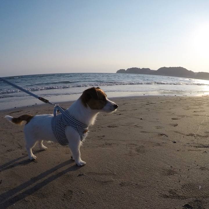 15735458 ca7d 4a68 881e a63b97a6bc61