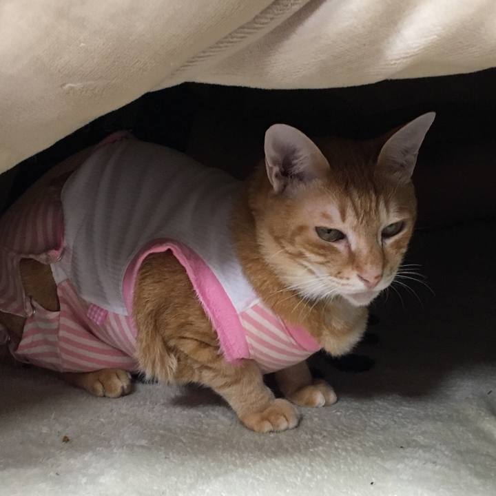 15737787 f597 4d21 9d63 c8df72cdfe30