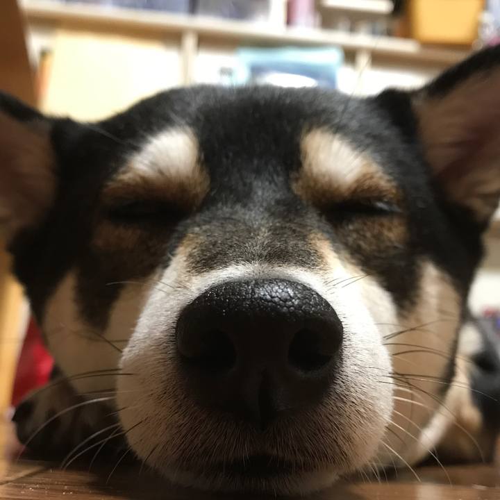 157396a6 a6fe 4940 a9e2 80a1b1e56d3c