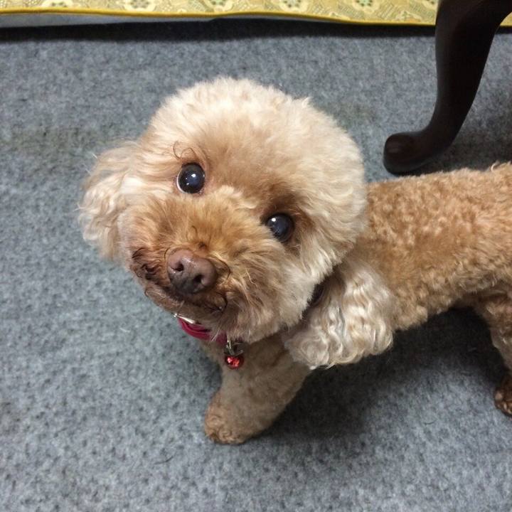 15742bfb 5741 43fb 8e62 90ffce7dba38