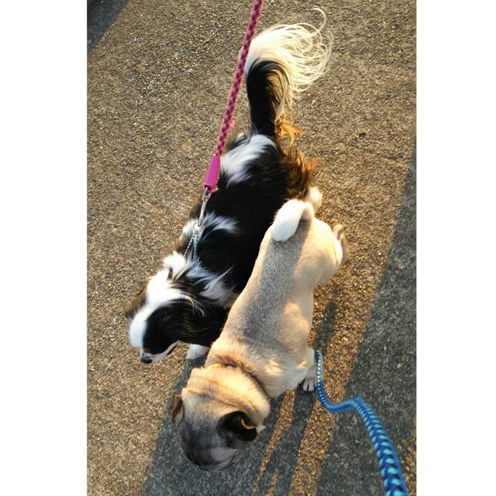 15743a39 d9dc 4982 a31a fa575259f782