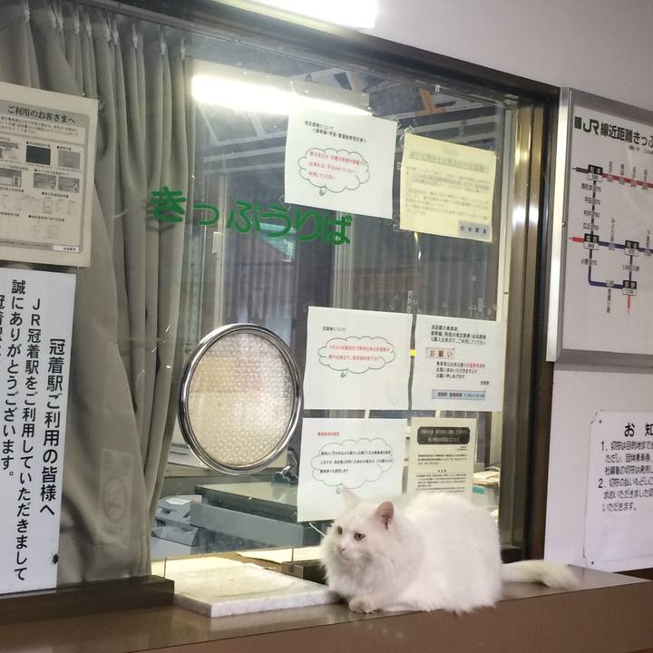 1574a496 58e7 4556 8b01 0f2d5b0db74b