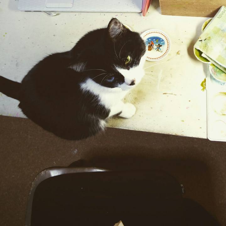 1574efb4 2d45 4d65 8a92 668890867435