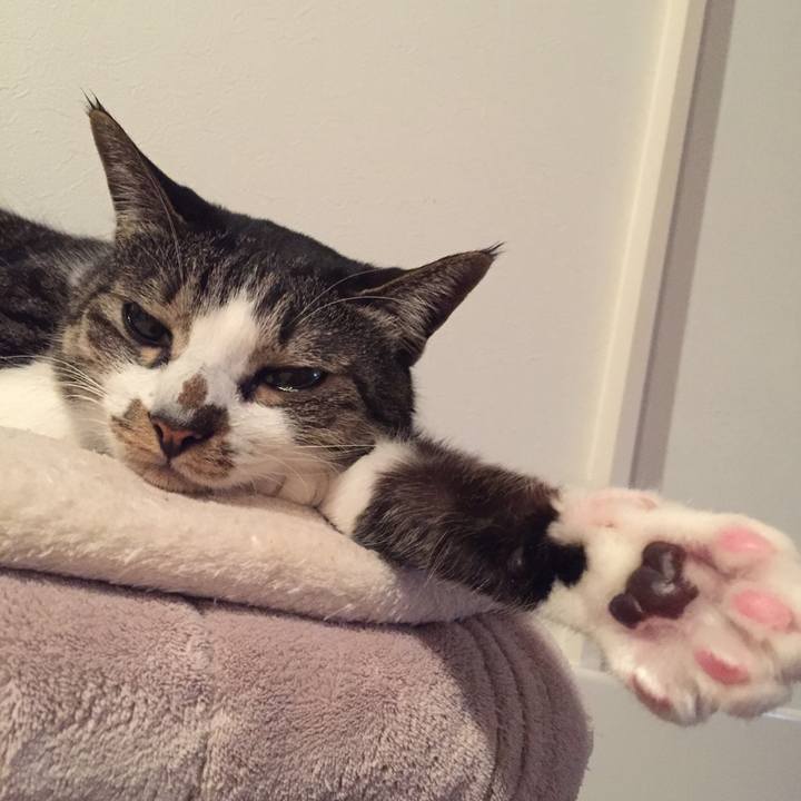 15750f5f 3930 4eb8 a73b 228bafa05dfa