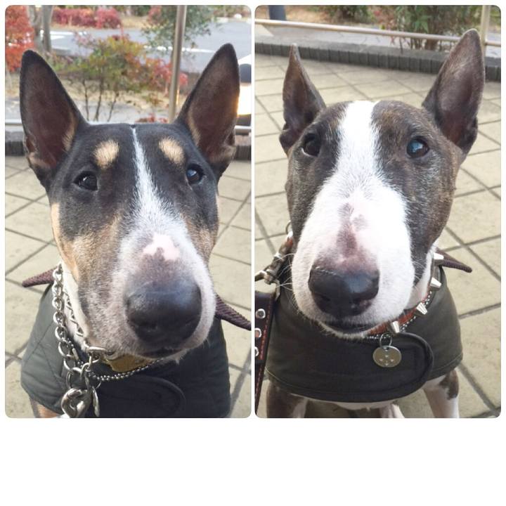 1576a52a 7c42 4c62 a9b2 85b0467a6e3c