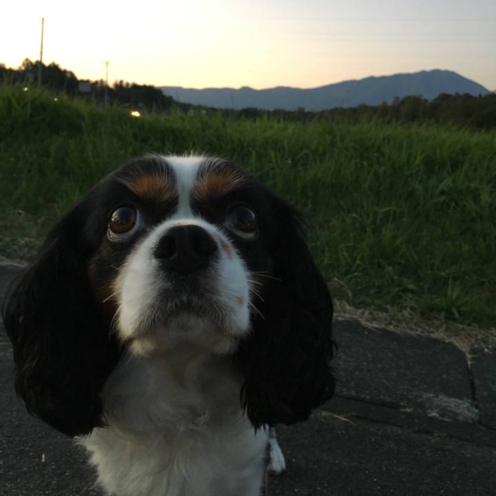 1576be9b d218 4353 8392 f75601b6a812