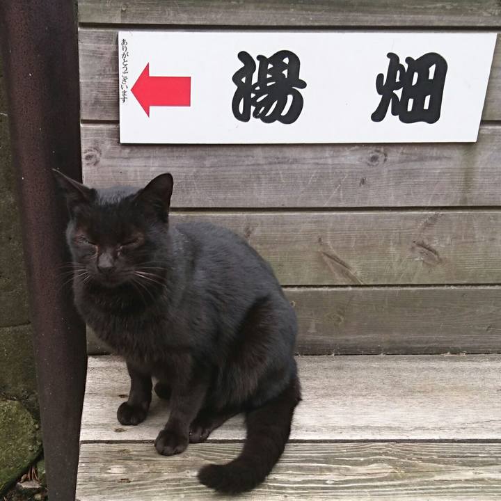 1576f0bc 36ff 4e6f ae20 2e4f4cc68351