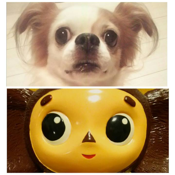 157798bc 81e9 46db 868f 84d57c6f0e77