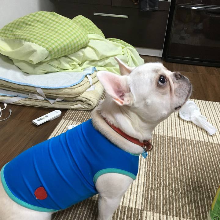 1578de70 605c 4052 b274 b585d5d355d9