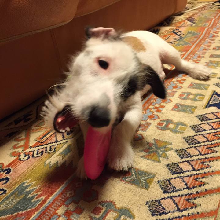 1579e1f0 cd70 471e b112 fd26c637e3bb