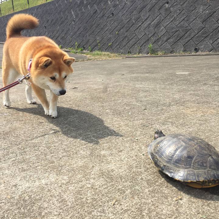 157a4851 a724 424f bae9 0ad2fd50c782