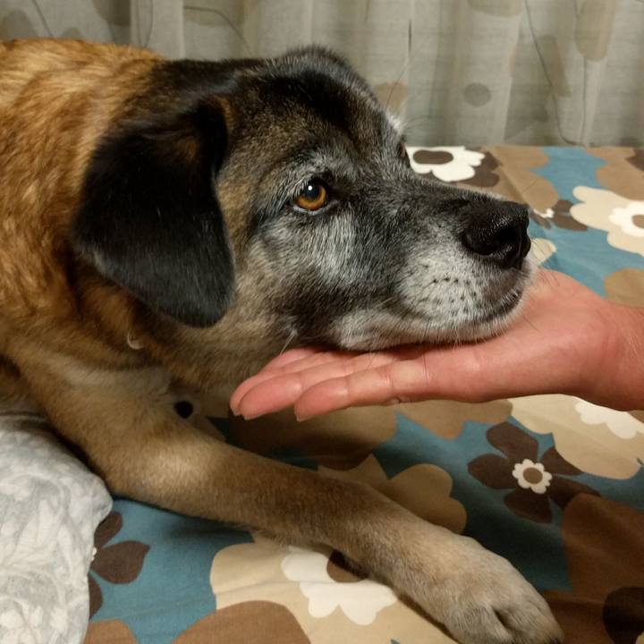 157a79e1 4e83 458a b5fa 6f34623e7f50