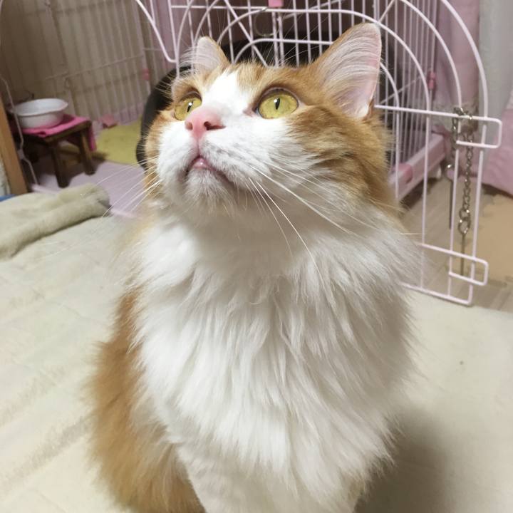 157aa049 60ee 4f5e 82be f08cbabc73f2