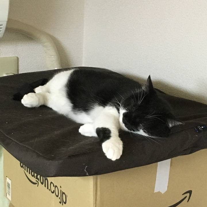 157b2169 77a7 4879 b4f5 f5a088105a08