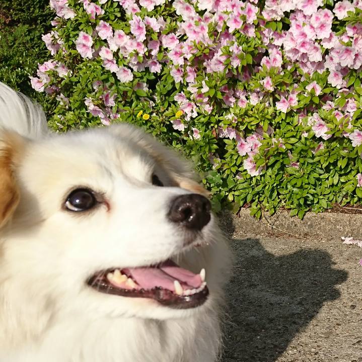 157bbbfe d0c8 4ee1 ac91 8b4f1633c2df