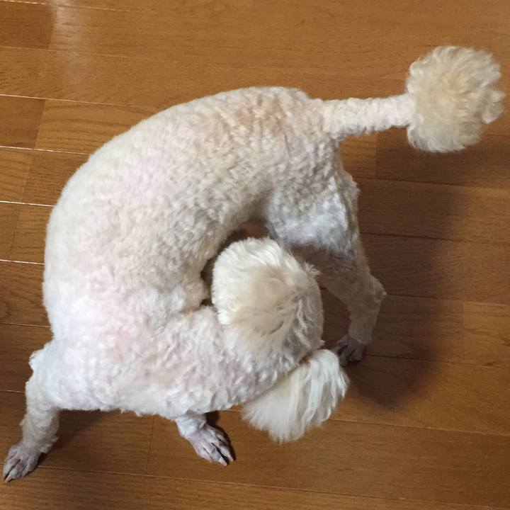 157ce7e3 8552 41f6 a8cb c56f2971e371