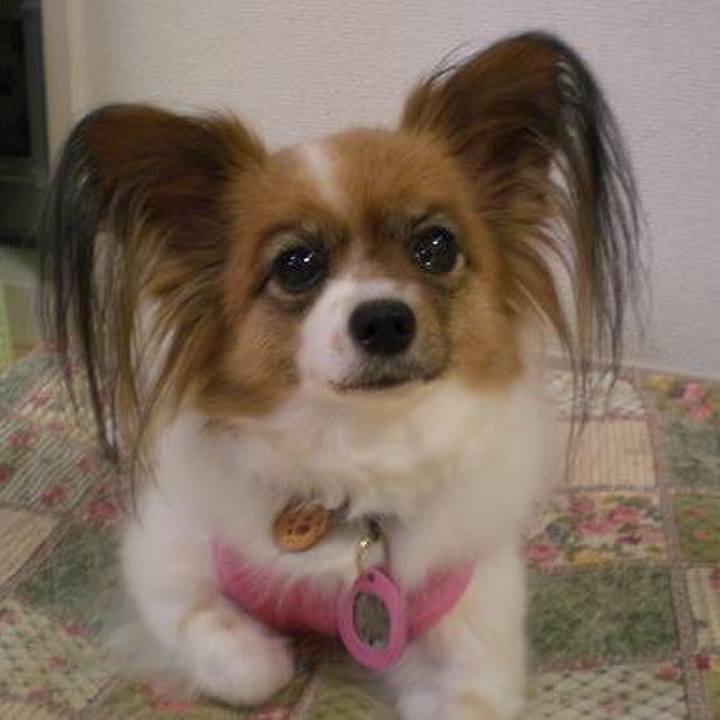 157df5a1 1750 457f 83d6 217388089ce4