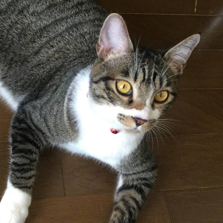 157e4d14 de15 4534 b073 8e777c7457b0