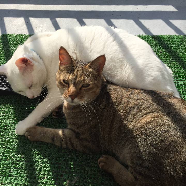 157f8815 40ae 44ea a86a 6e6f7985f7ce