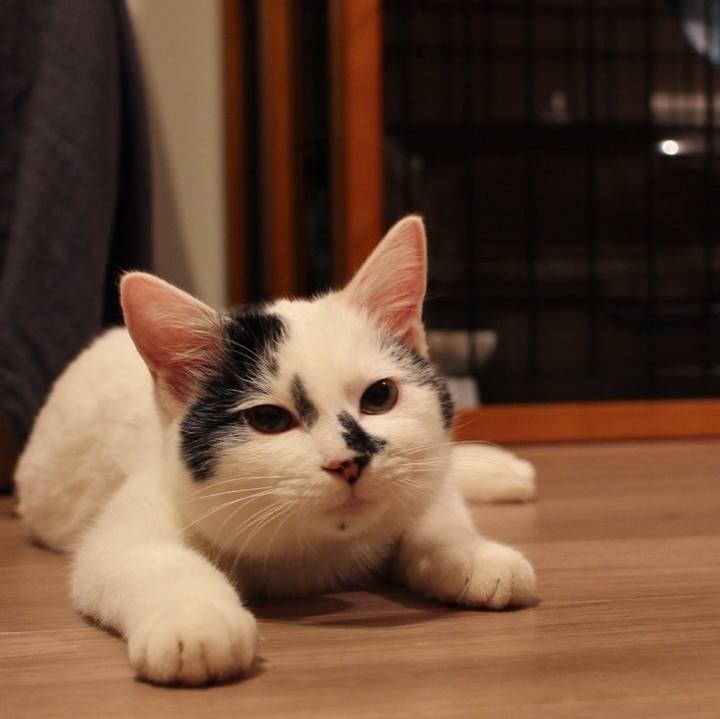 15800fa0 e1e4 49f0 a4c4 bff72e27384e