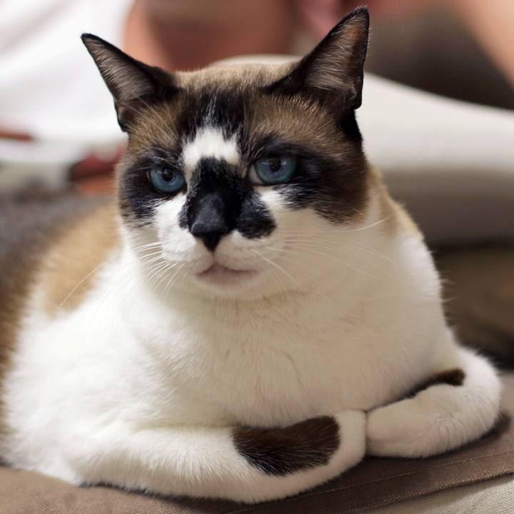 15803cdd 6c61 47df b099 df02c9b8b7b0