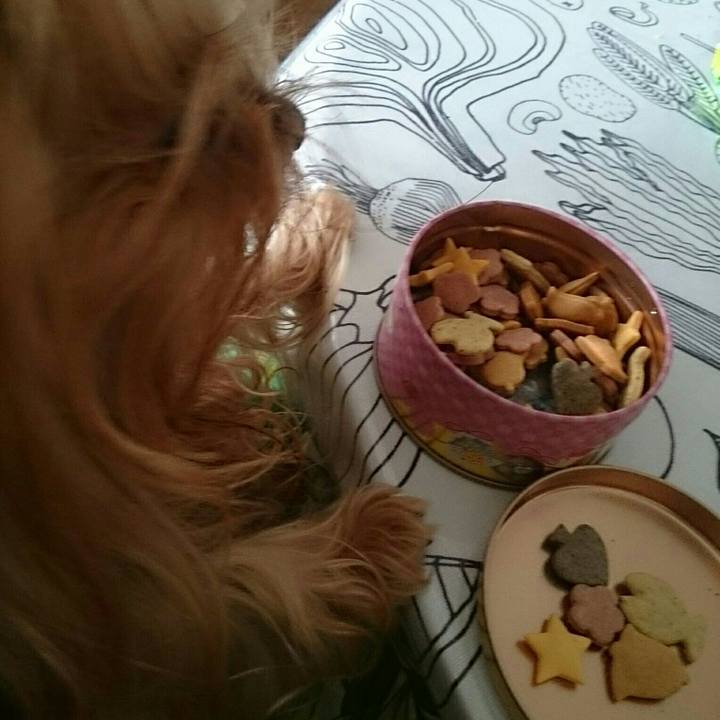 1580deba 0441 4a50 b4a5 34ad42fbd819