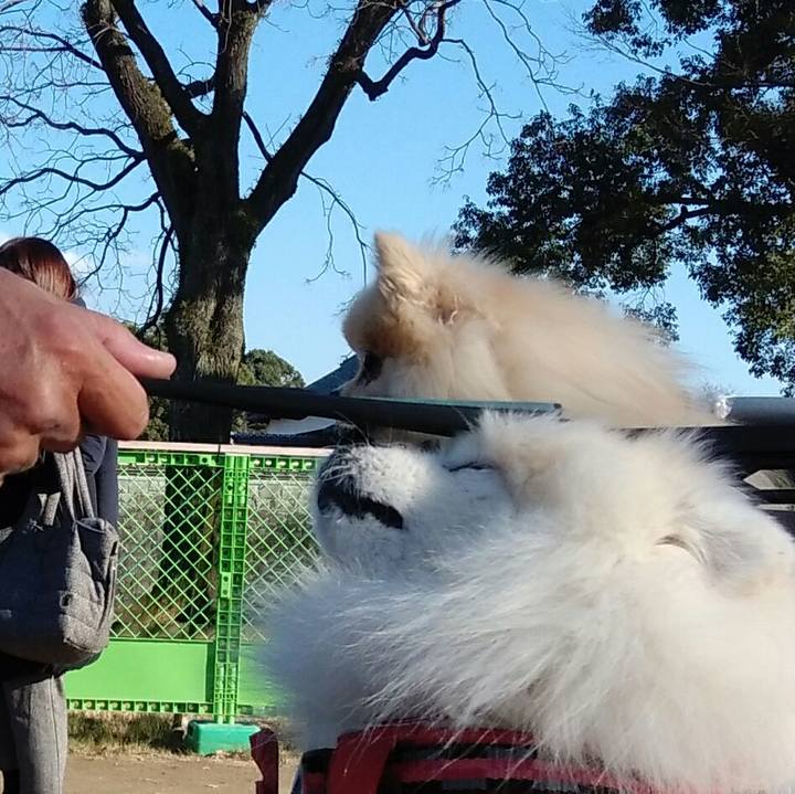 1580e656 3a28 44d5 8d63 bde3f52ad3df