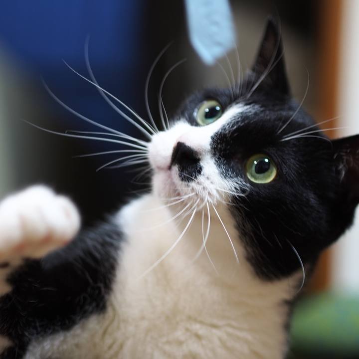 1582fff2 796b 4f91 81cb 90bfbd336bd0