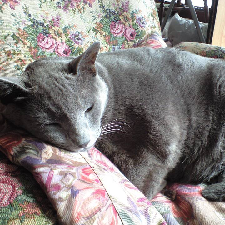 1583335f e9bb 4c51 af3d cbb27f3b5bd0