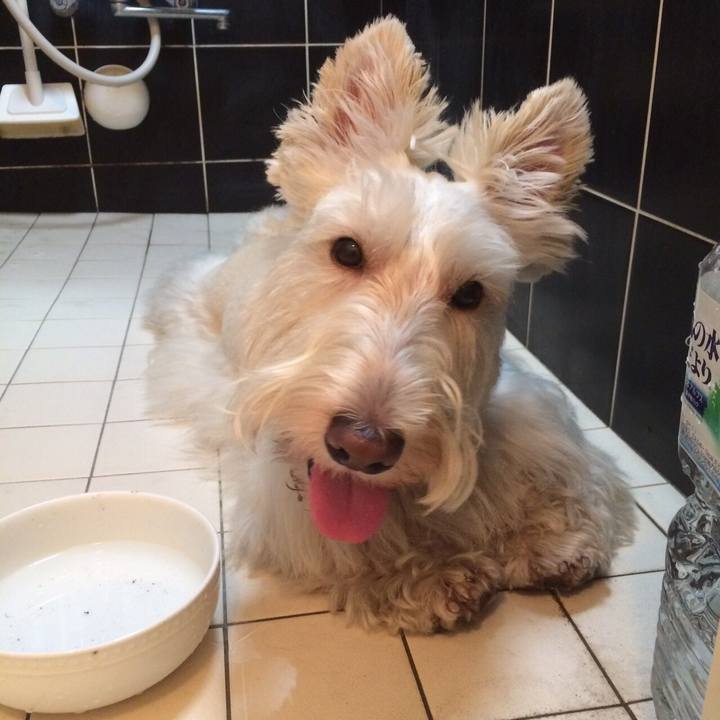 1584b9ae 38e1 4644 9ecb e5bcebb62bd1