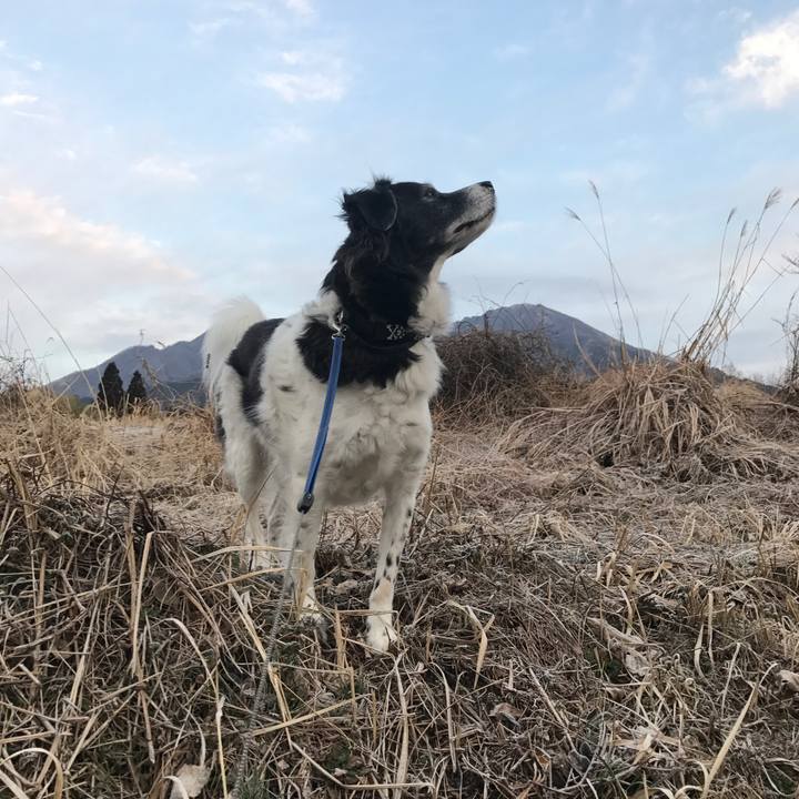 15859a93 7e84 412f 9344 ebab3342002c