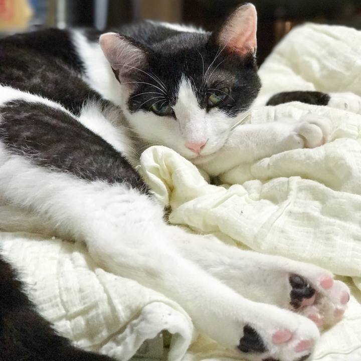 1585ebd2 b029 4c8b 80fe 28ed3c0ee672