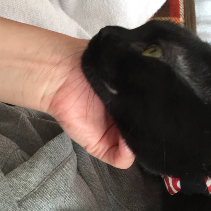 158611c2 0a6c 4154 9e8b 6f297cc3be7c