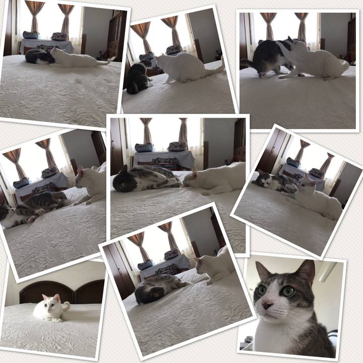 1586d177 562f 429e 970b e1c6dacff556