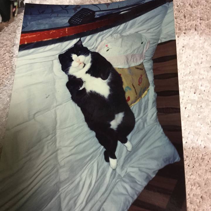 15873df3 596d 42a1 8437 3d3954ac6ea2