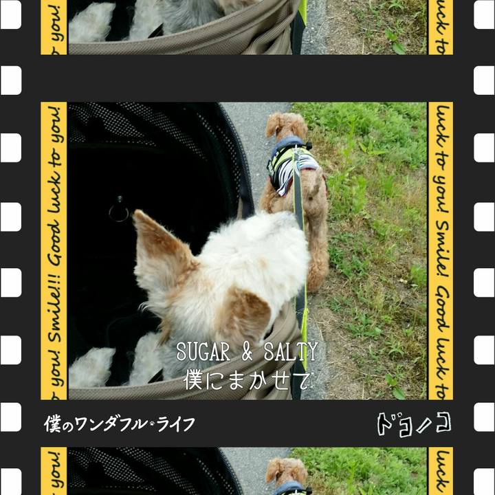 158758ad 96cb 4548 96be 42450f272803