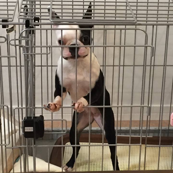 15875c3b 4b71 4f93 989f c62dcfbfff94