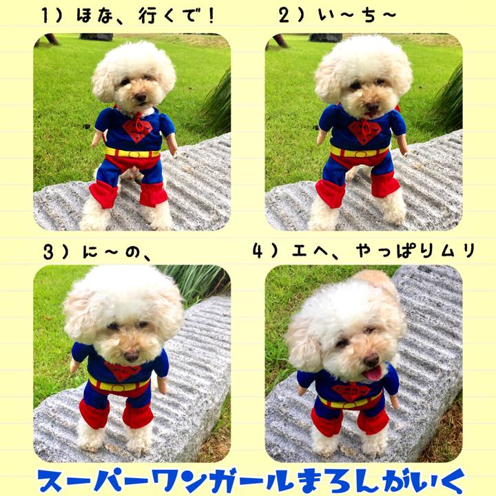 1587cf19 e458 4344 9ffb 413c42a6c441