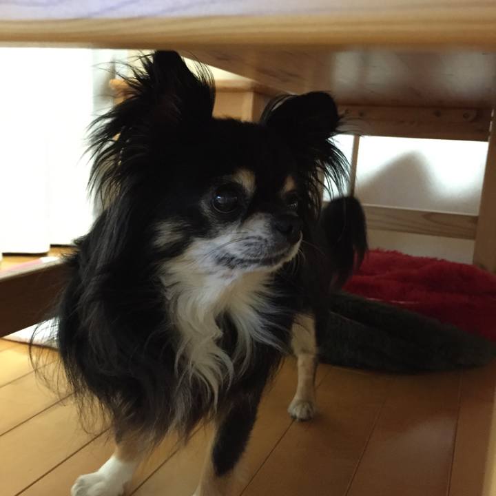 1587d067 da4b 4be8 a463 1082dea43b3e