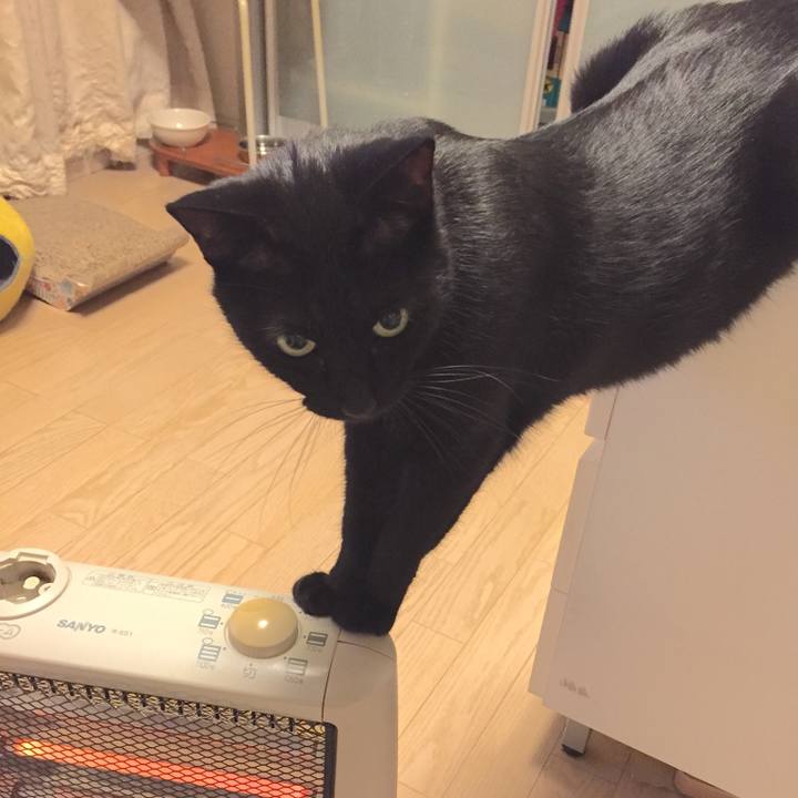 15880884 330d 4ac4 8a3c 5c6fd6282eed