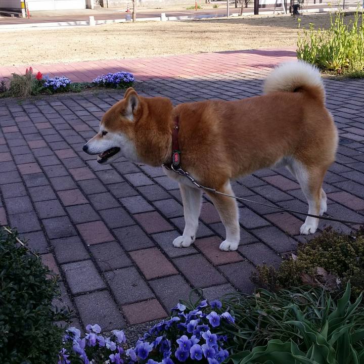 15881c6c 07c3 4828 b588 da40cbaa5dea