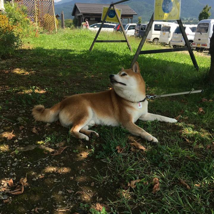 15885bbc aeeb 40d2 b144 d54efa04e235